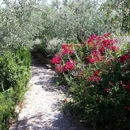 La Macina Di * Bettona